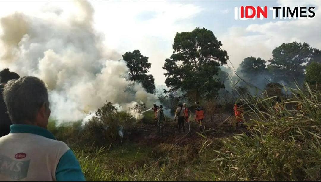 Madani: 219 Ribu Hektare Area Terbakar dalam 7 Bulan