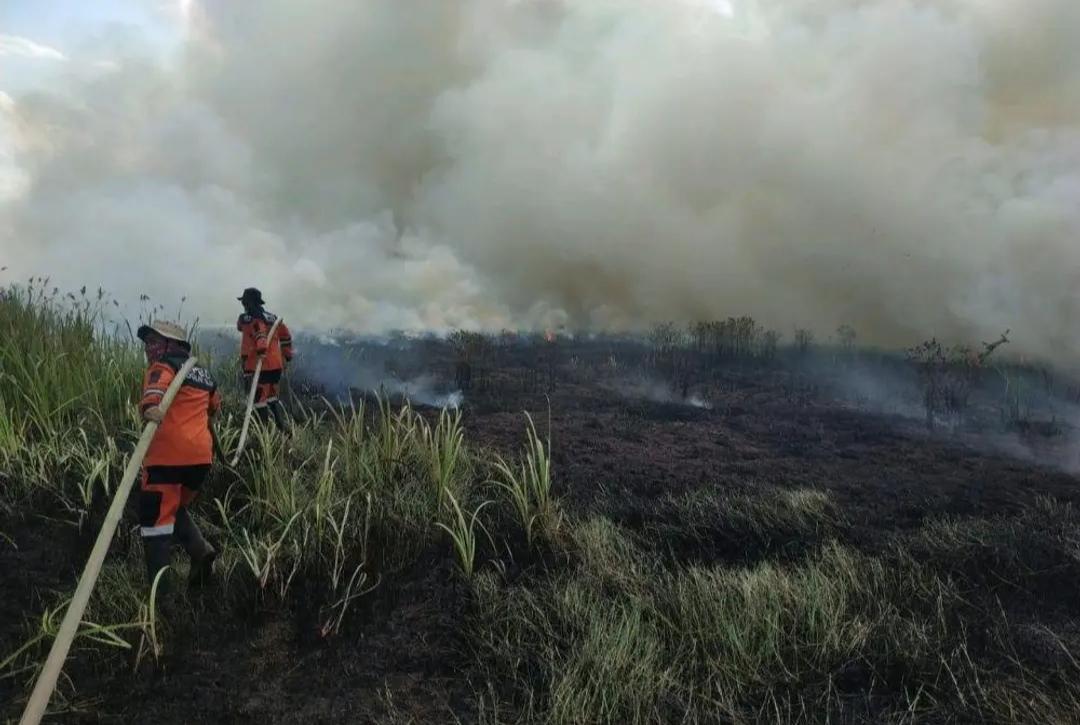 11 Kecamatan di OKI Rawan Karhutla, BPBD Buat 9 Posko Siaga