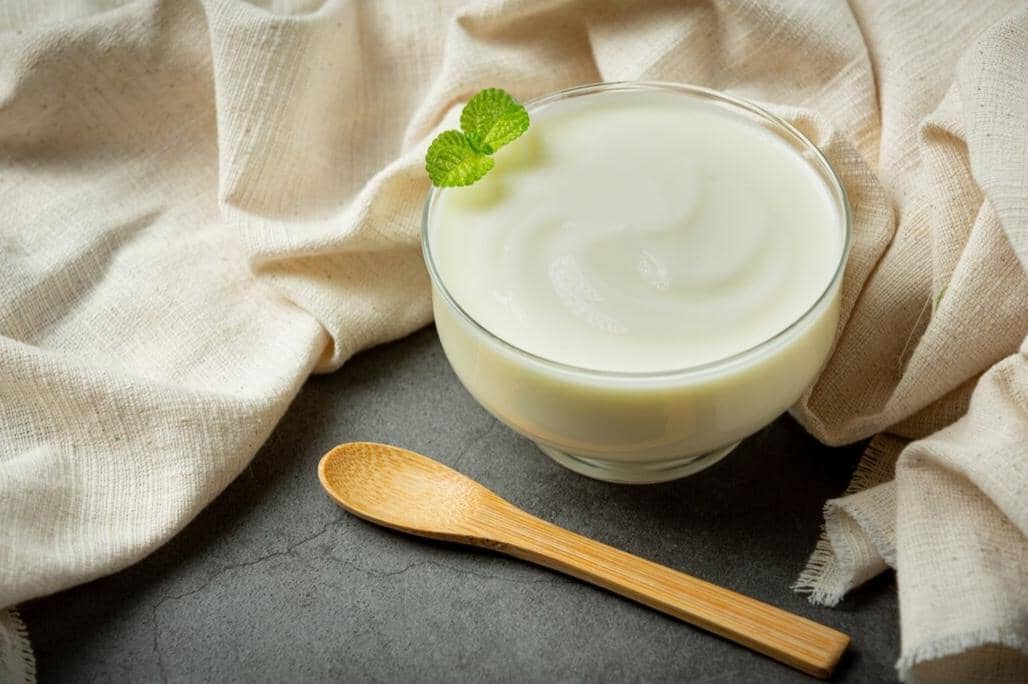 ilustrasi yogurt plain