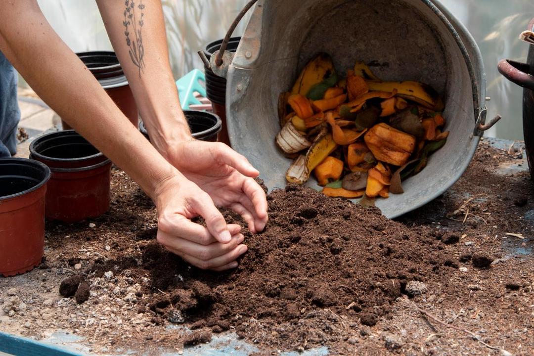 5 Sampah Dapur Sehari-hari yang Bisa Jadi Pupuk Kompos