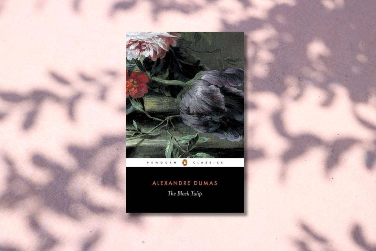 novel The Black Tulip (penguinrandomhouse.com)