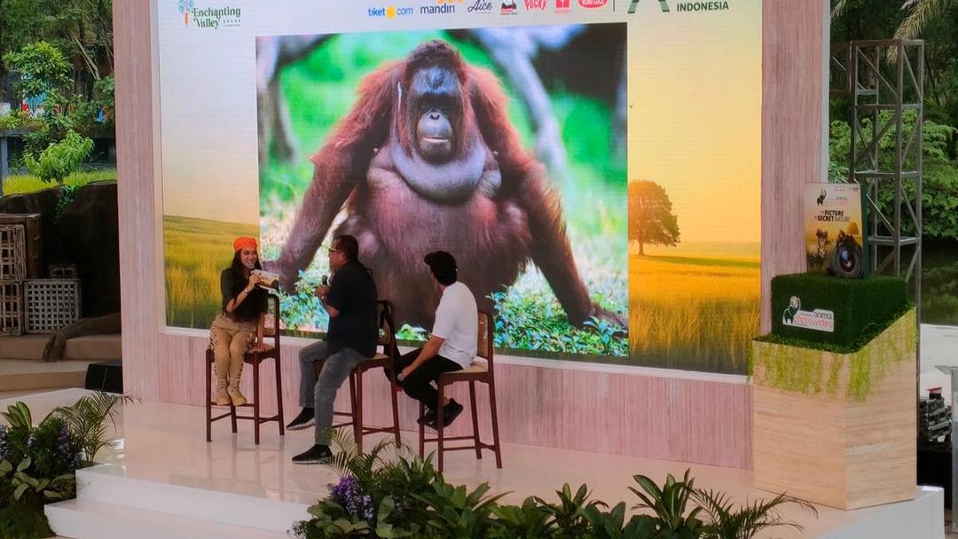 Taman Safari Gelar Kompetisi Foto dan Video Satwa Liar, Siapkan Karyamu