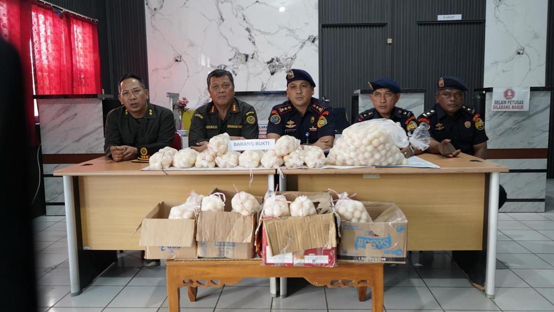 1.950 Telur Penyu Ilegal Ditemukan di Pelabuhan Sambas Kalbar