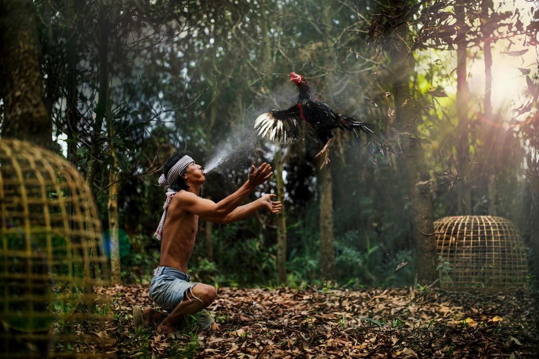 34 Penjudi Sabung Ayam Filipina Diduga Dibuang ke Danau
