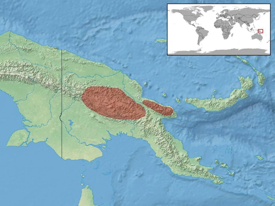 Ilustrasi peta persebaran genus Prasinohaema (commons.m.wikimedia.org/rbrausse-Natural Earth)
