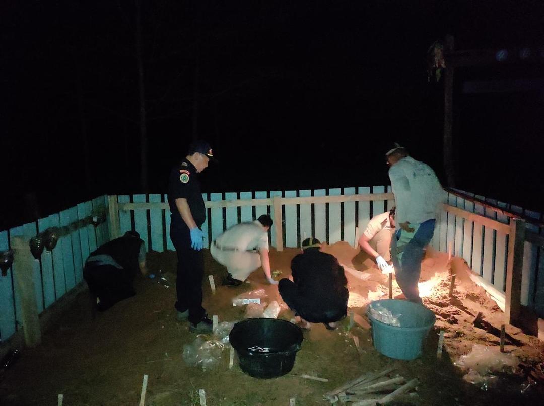 IMG-20250620-WA0066.jpeg