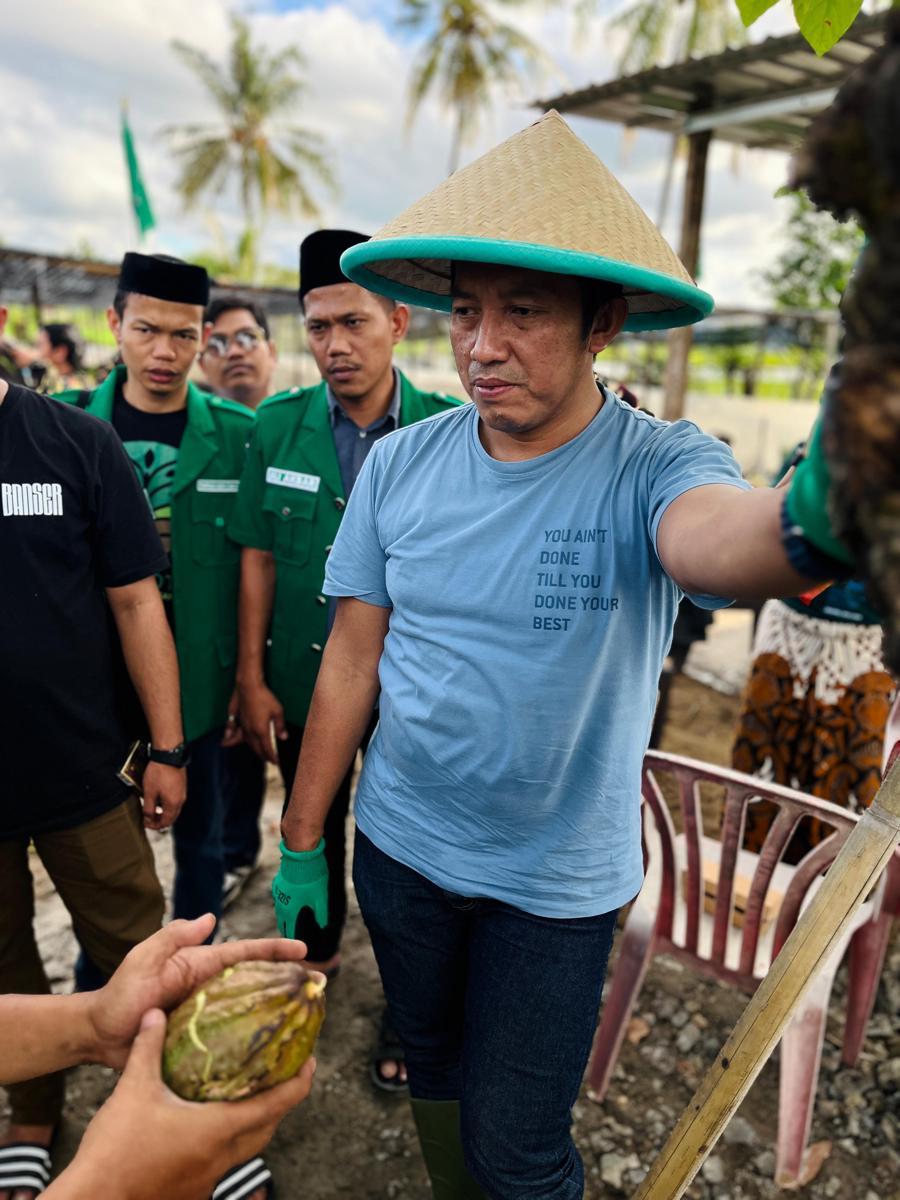 GP Ansor menggelar penanaman 200 ribu bibit kakao di Polewali Mandar, Sulawesi Barat, Minggu (22/6/2025)/Istimewa