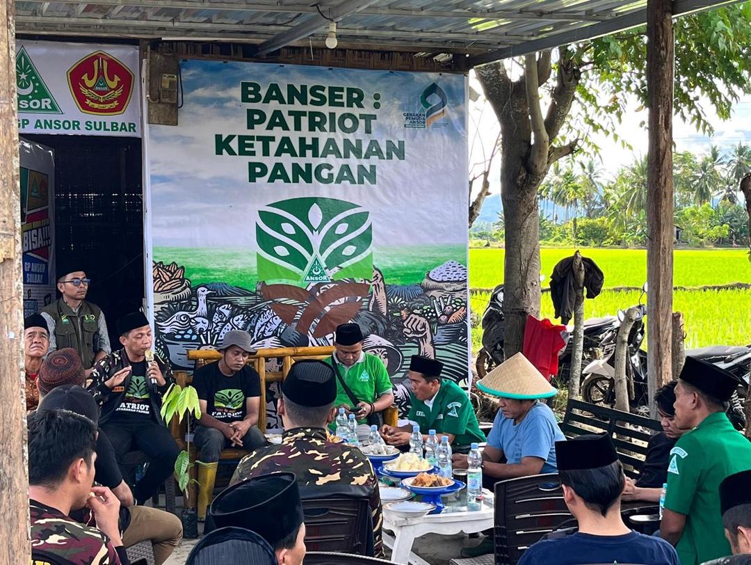 GP Ansor Tanam 200 Ribu Bibit Kakao di Sulbar, Dorong Penguatan Ekonomi Lokal