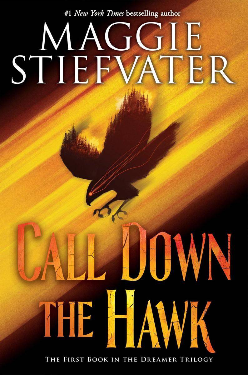 Sampul Call Down the Hawk (goodreads.com)