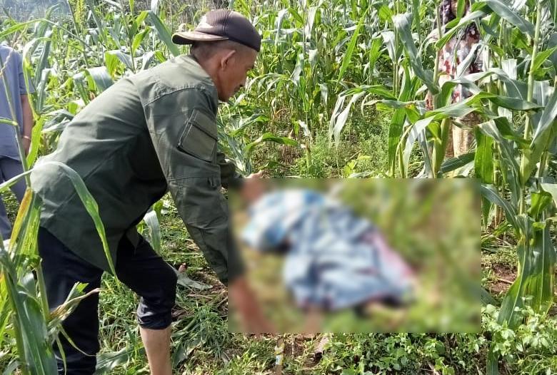 Kakek di Gowa Tewas Tersengat Listrik dari Kabel di Kebun Jagung