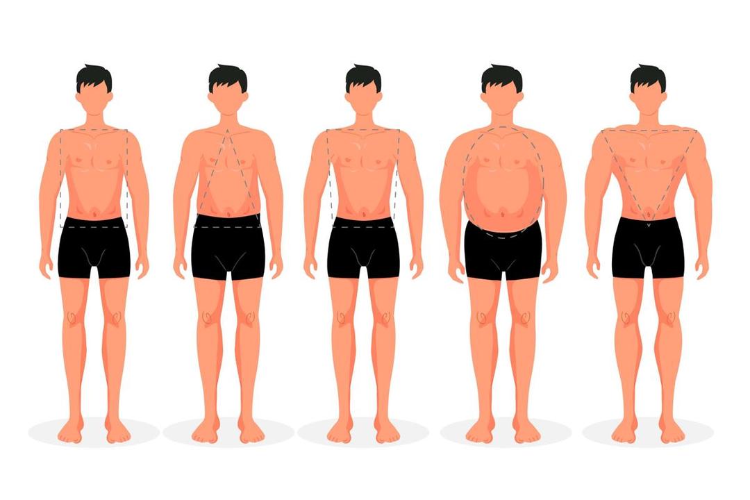 ilustrasi tipe badan (freepik.com/free vector)