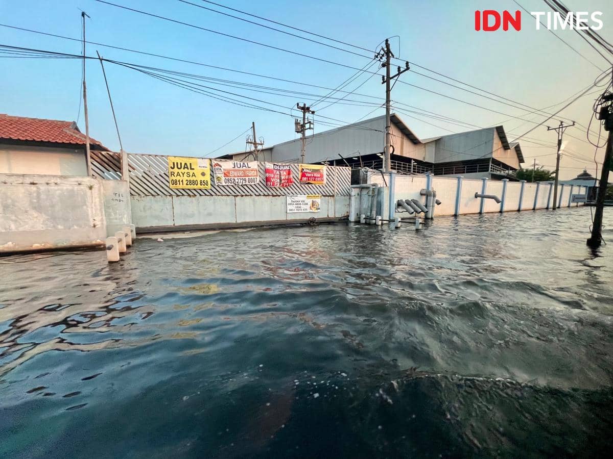 Strategi Warga Krapyak Pekalongan Bertahan dari Banjir Rob
