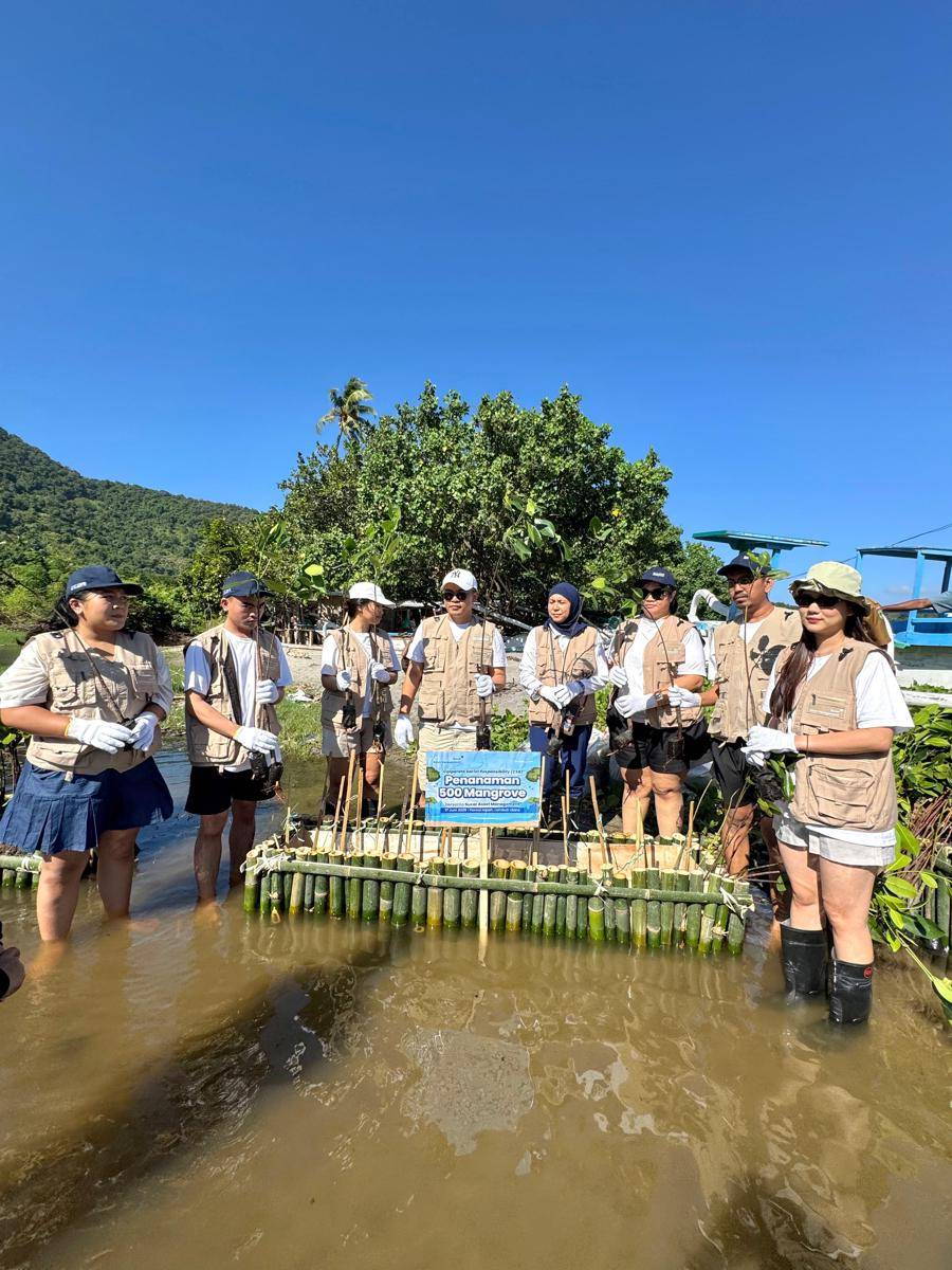 ESG Mangrove 1.jpg