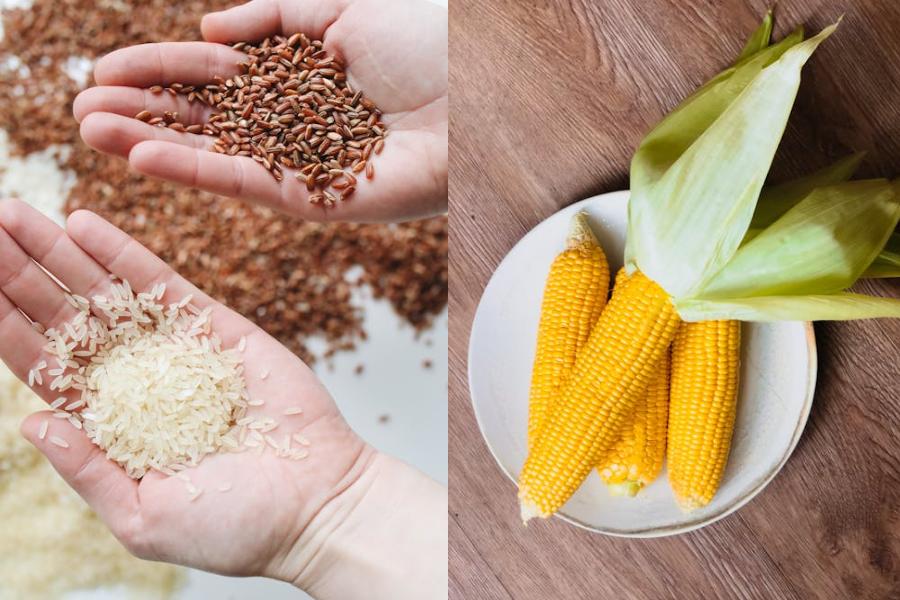 Potret beras (pexels.com/Polina Tankilevitch) | Potret jagung (pexels.com/Ekaterina Lifirenko)