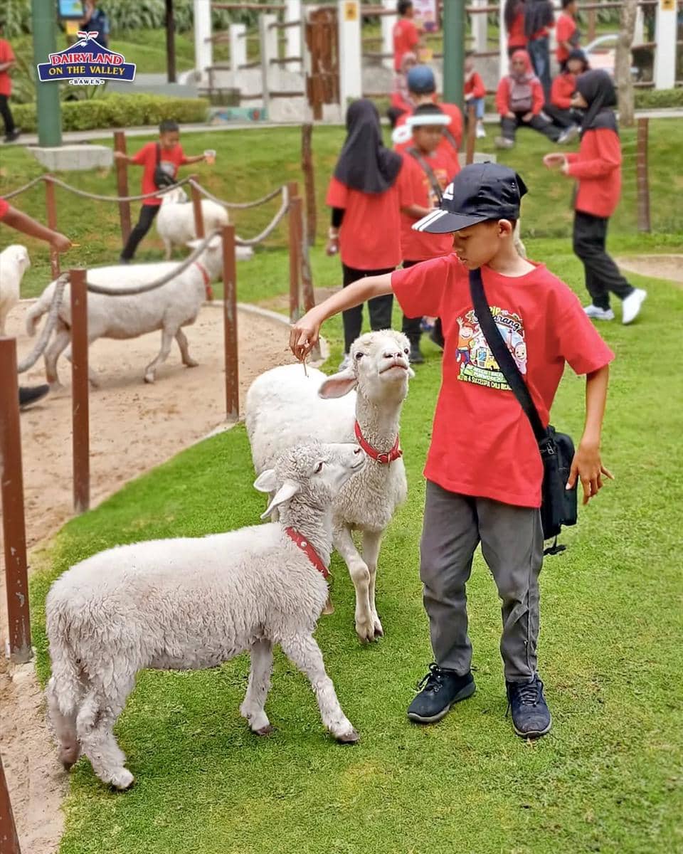 Area edukasi peternakan di Cimory On The Valley. (Instagram.com/dairyland.onthevalley)