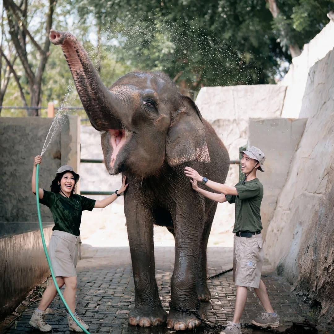 Koleksi satwa yang lengkap dan edukatif. (Instagram.com/semarangzoo)