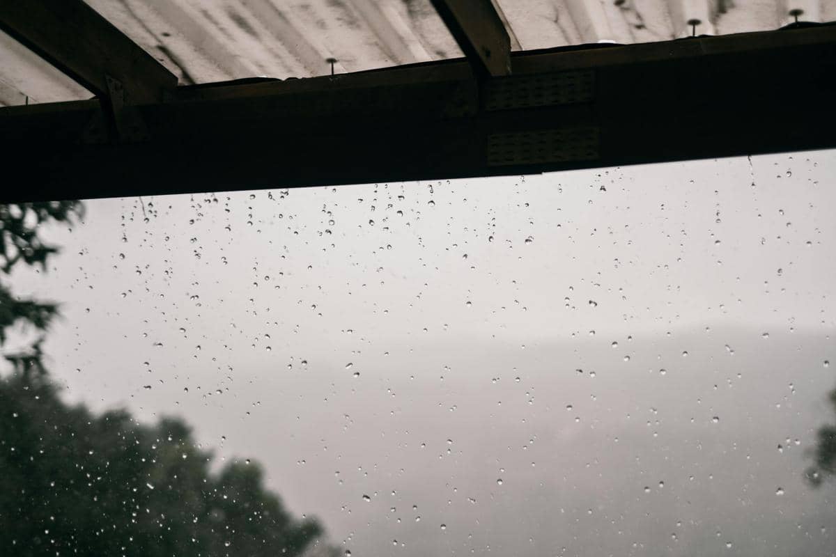 Ilustrasi pancaroba (photo by Taryn Elliott/Pexels)