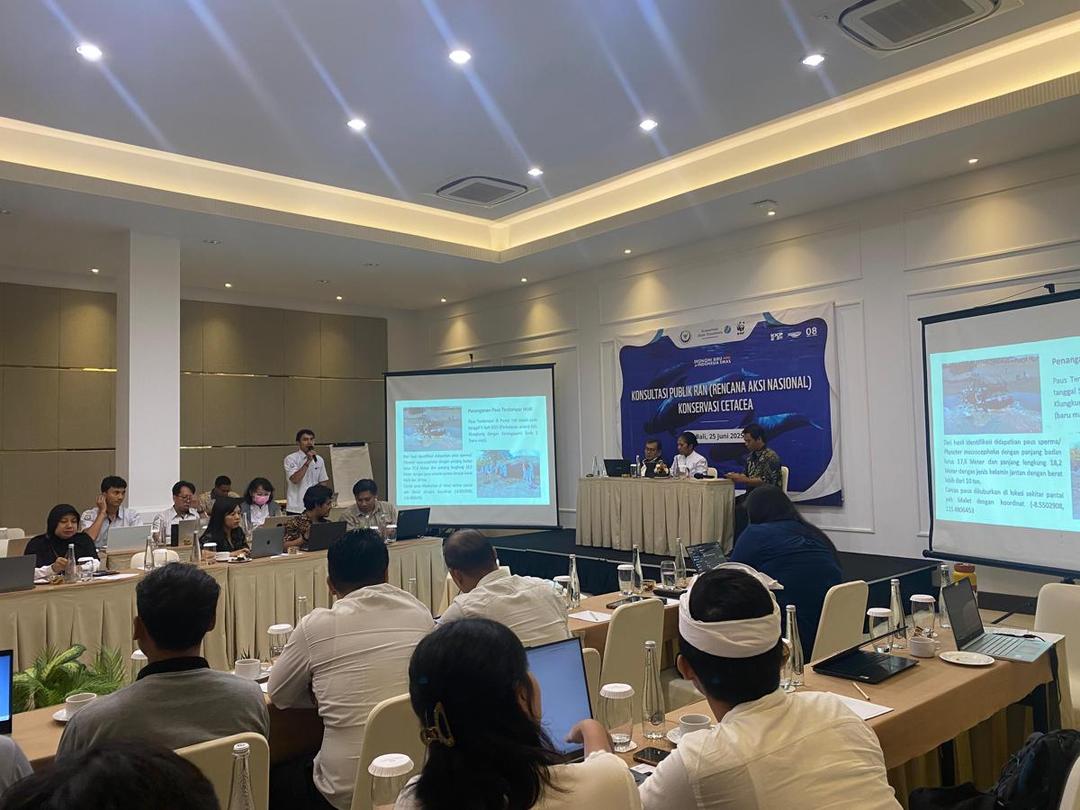 Konsultasi Publik RAN Cetacea Bali_Siti Yasmina Enita.jpg