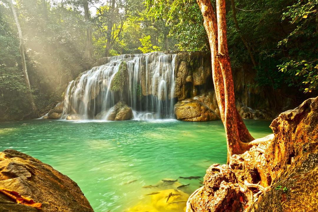 Erawan Waterfall, Kanchanaburi: Lokasi, Rute, Jam Buka, HTM, dan Tips