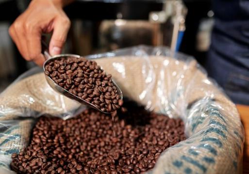 5 Karakteristik dan Rasa dari Kopi Robusta yang Unik, Bikin Nagih!