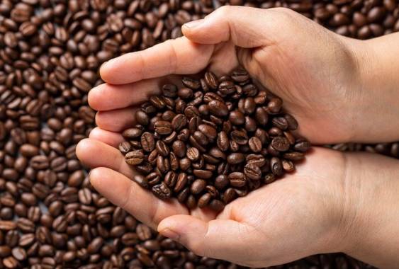 ilustrasi biji kopi (freepik.com/freepik