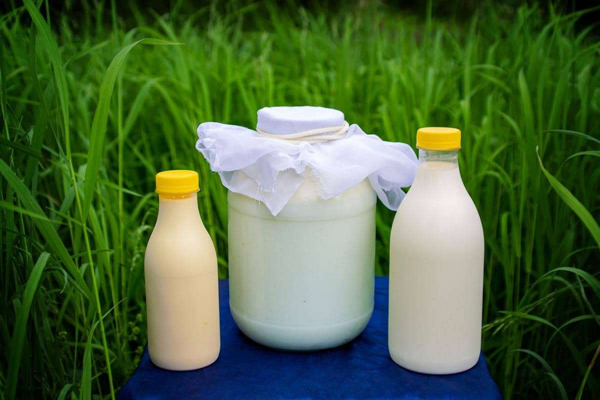 ilustrasi susu sapi (unsplash.com/Aleksey Melkomukov)