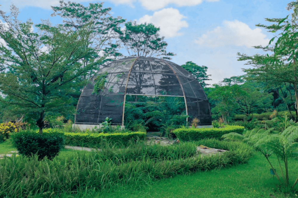 Kebun Raya Indrokilo