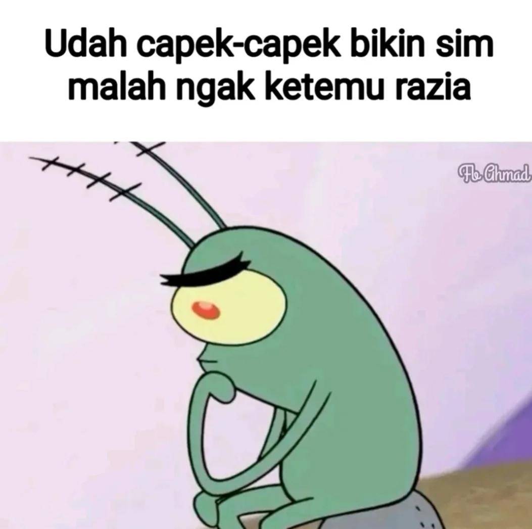 Meme razia (instagram.com/mim.daily23)