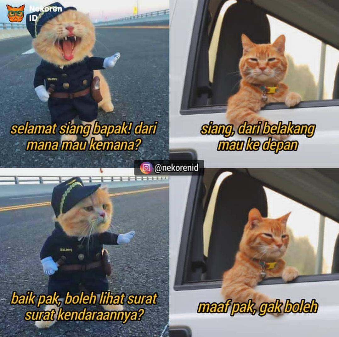 Meme razia (instagram.com/nekorenid)