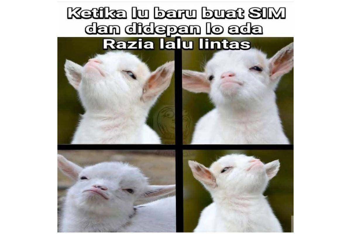 Meme razia (instagram.com/santainaja_)