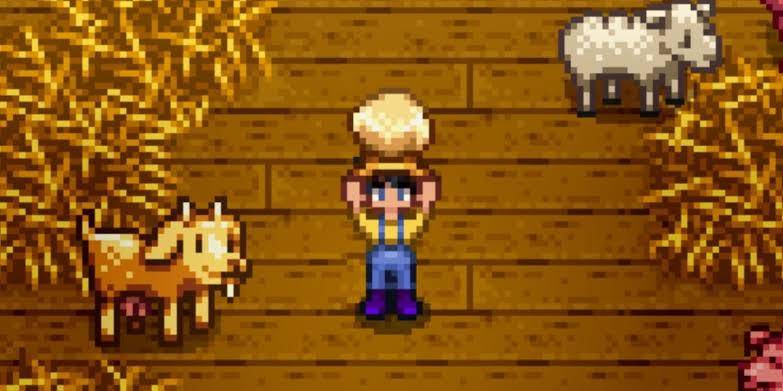 keju di Stardew Valley