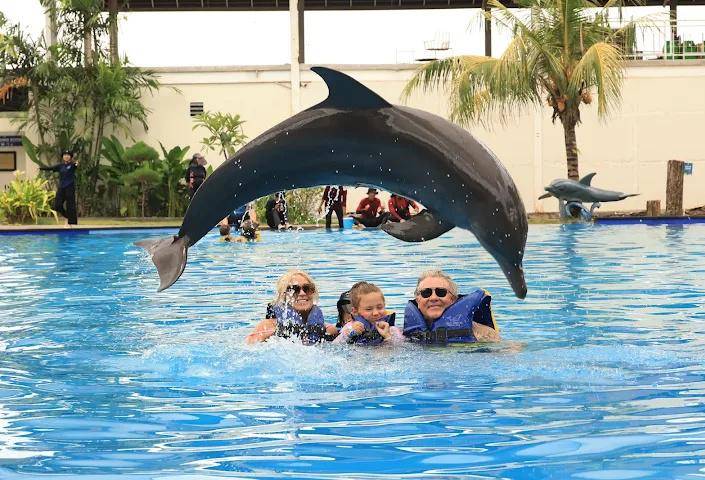 Bali Exotic Marine Park, Bali (google.com/maps/kim cruickshank)