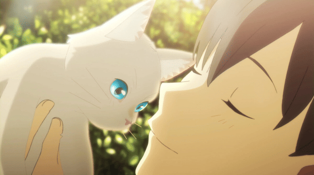 Kucingko Animation Studio 15 Anime Kucing Paling Menghibur: Doraemon hingga A Whisker Away ...