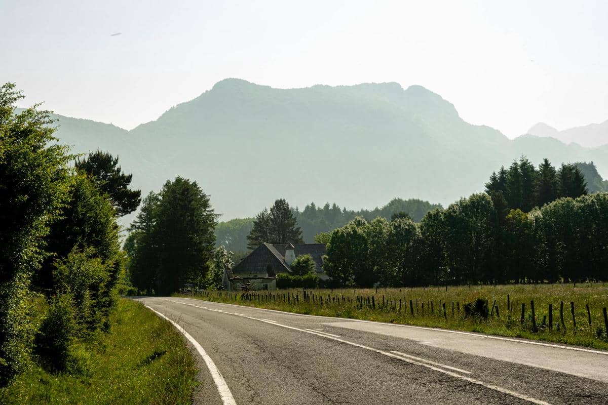 ilustrasi jalanan yang sepi (pexels.com/Jose Rodriguez Ortega)