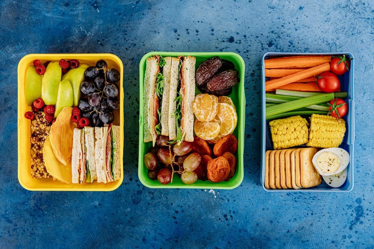 ilustrasi bekal makanan