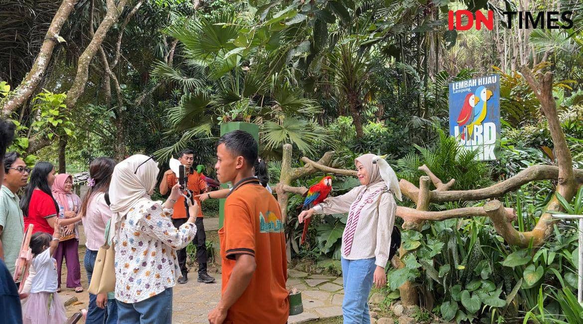 7 Rekomendasi Wisata Alam di Bandar Lampung, Pernah Berkunjung?