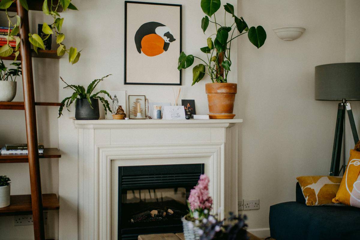 ilustrasi tanaman indoor (unsplash.com/Annie Spratt)