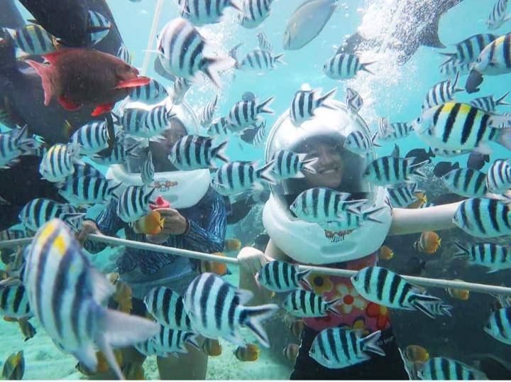 Bali Seawalker, Bali (instagram.com/seawalkerbali)