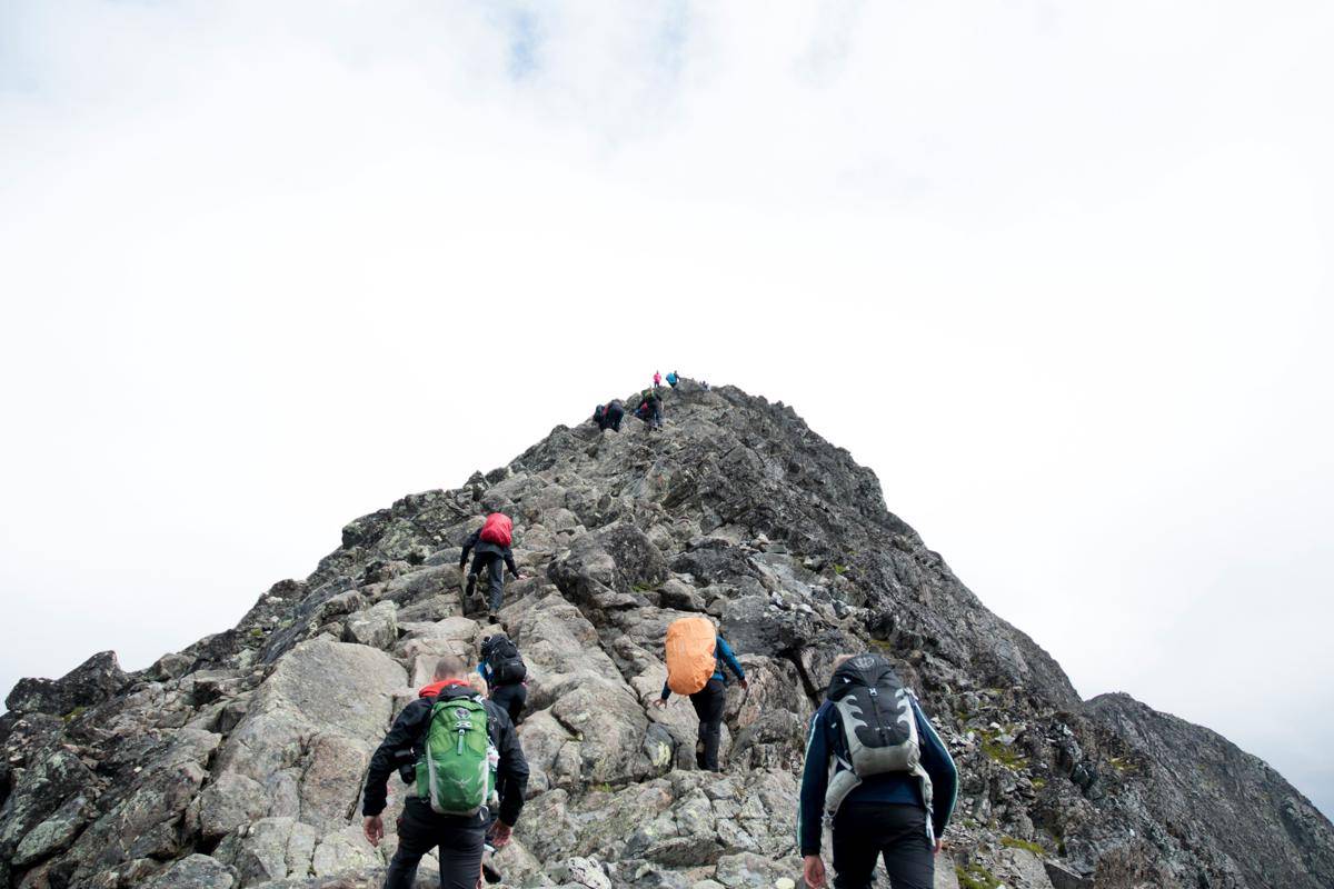 ilustrasi mendaki gunung di musim panas (unsplash.com/Mathias Jensen)