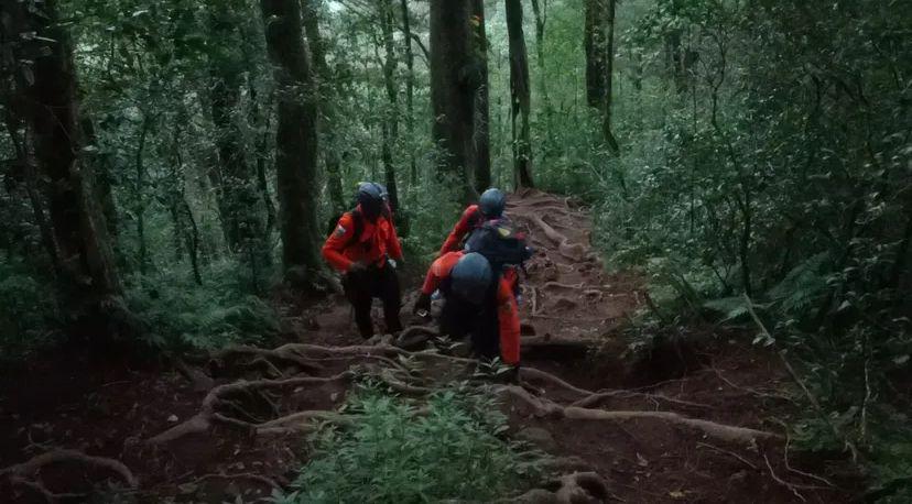Tim SAR Menemukan Empat Pendaki Tersesat di Gunung Batukaru