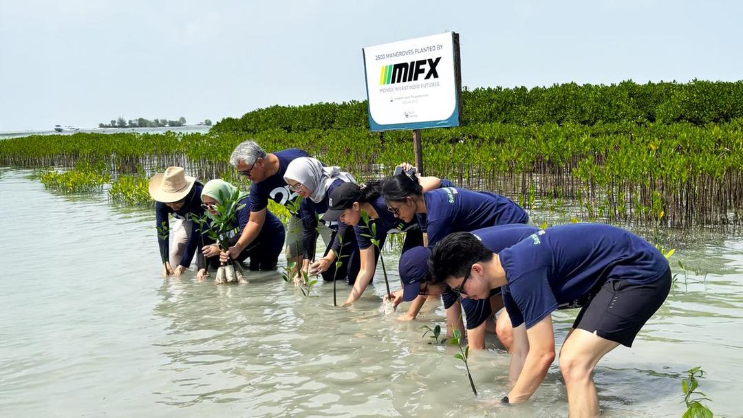 MIFX 25th CSR Manggrove(2).jpg