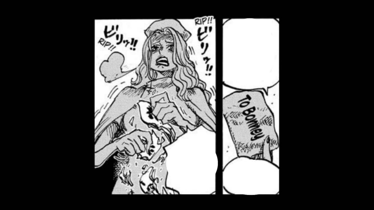 alpha one piece 04.jpg