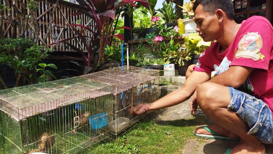 Hadi Nasirin (34), penagkar ayam hutan hijau asal Magetan. IDN Times/Riyanto.