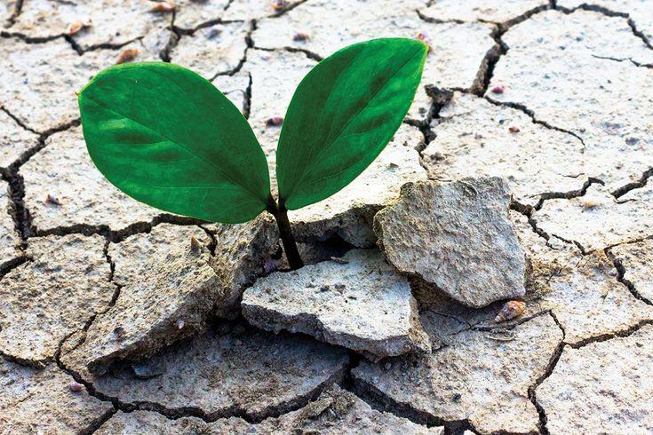 Mengenal Post-Traumatic Growth, Bangkit Lebih Kuat setelah Trauma