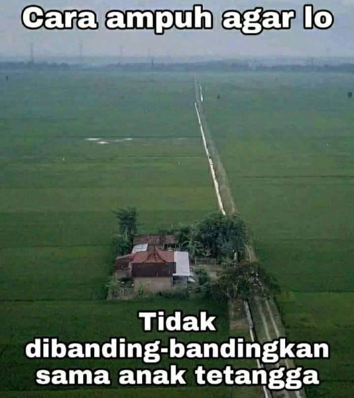 Meme dibanding-bandingkan