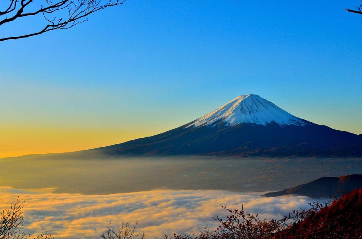 Kenapa Puncak Gunung Tidak Ditumbuhi Pohon? Ini Penjelasannya
