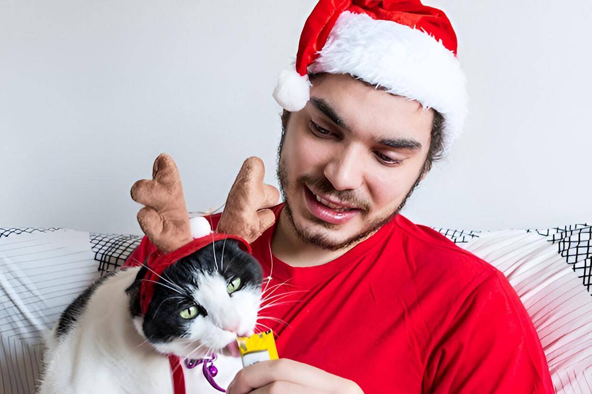 ilustrasi pria memelihara kucing (freepik.com/wirestock)