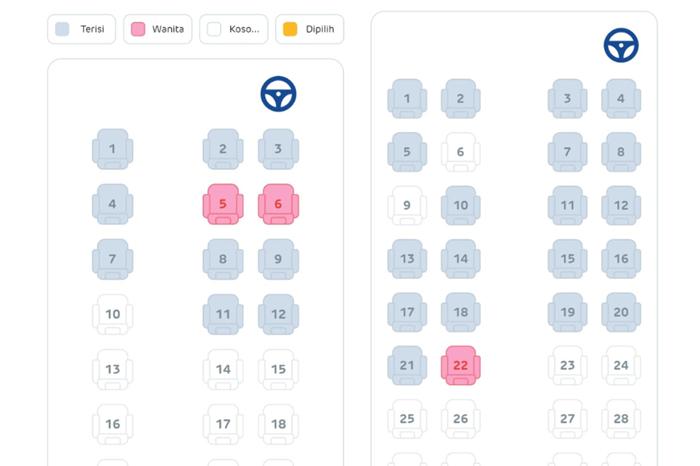 Tangkapan layar kursi Pink Zone di aplikasi DAMRI Apps (dok. DAMRI Apps)