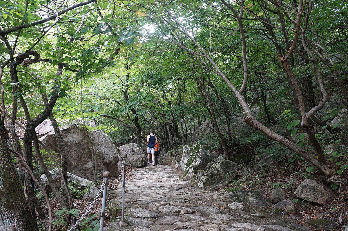 potret jalan setapak di Gunung Kumgang Luar 