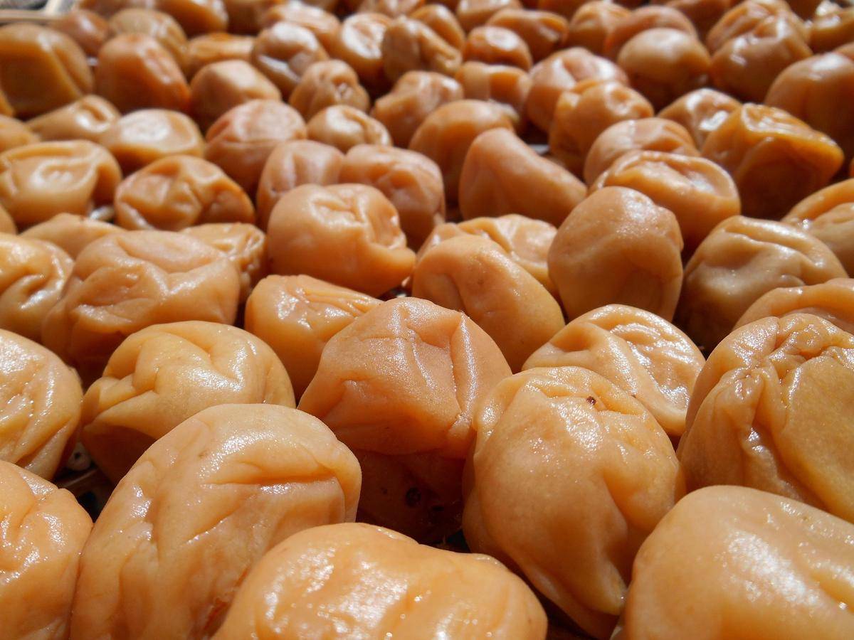 ilustrasi umeboshi (pixabay.com/yuzu)